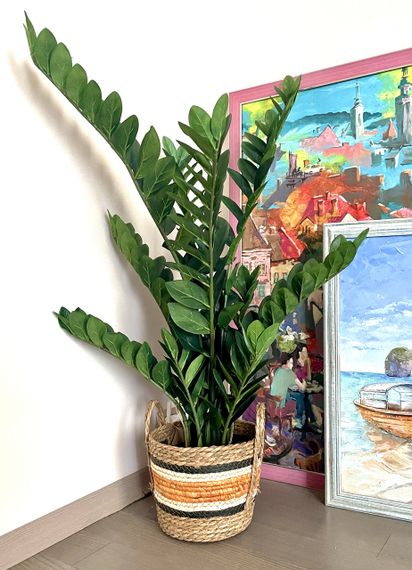 Замиокулькас искусственный в горшке 115 см | Зображення 2