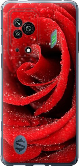 Чехол на Xiaomi Black Shark 5 Красная роза "529u-2678-17620"