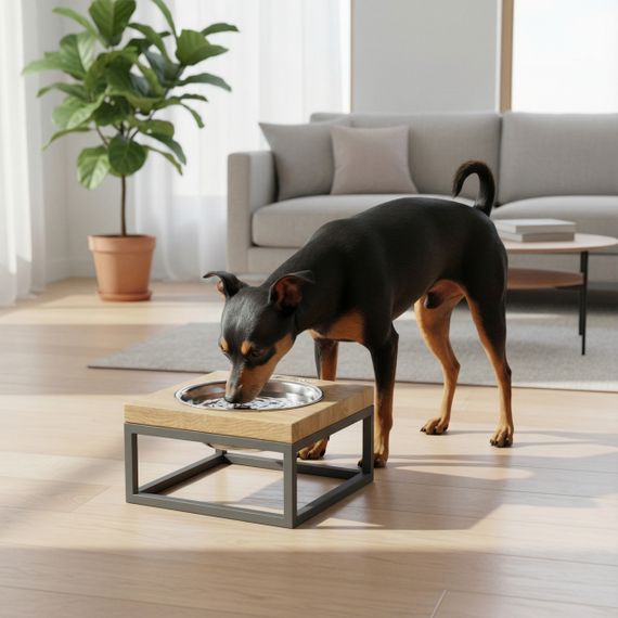 Миска на подставке для кошек и маленьких собак Hollky Base Solo S (1 × 0,45 л) Solo S-18187-GRNT | Зображення 1