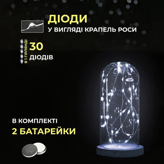 Світлодіодна гірлянда Роса 3 метри на батарейках 30 led нитка на зеленому дроті біла | Зображення 3