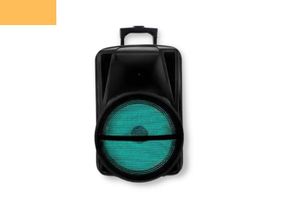 Портативная колонка XPRO MD19-12L чемодан  30Вт, USB, SD, FM радио, Bluetooth, 1 микрофон, ДУ (MER-15725)