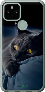 Чохол на Google Pixel 5 Димчастий кіт "825u-2044-2448"
