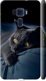 Чохол на Asus Zenfone 3 ZE520KL Димчастий кіт "825m-449-2448"