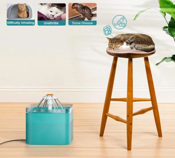 Питний фонтанчик для кішок AONBOY, підходить для маленьких собак, Фонтан для води для котів | Зображення 5