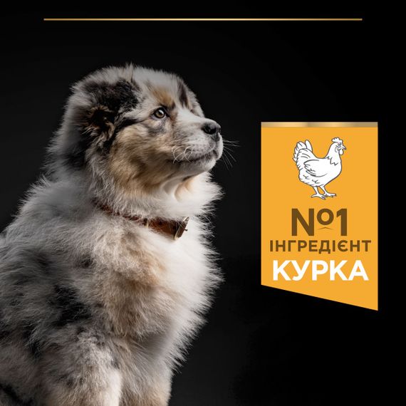 Сухой корм для щенков средних пород с курицей Purina Pro Plan Puppy Medium Healthy Start 3 кг | Зображення 3