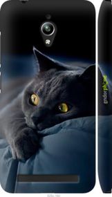 Чохол на Asus Zenfone Go ZC500TG Димчастий кіт "825m-160-2448"