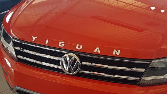Молдинг, орнамент, лого на капот VOLKSWAGEN TIGUAN, VOTI18LOG | Зображення 2