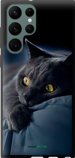 Чохол на Samsung Galaxy S22 Ultra Димчастий кіт "825b-2500-2448"