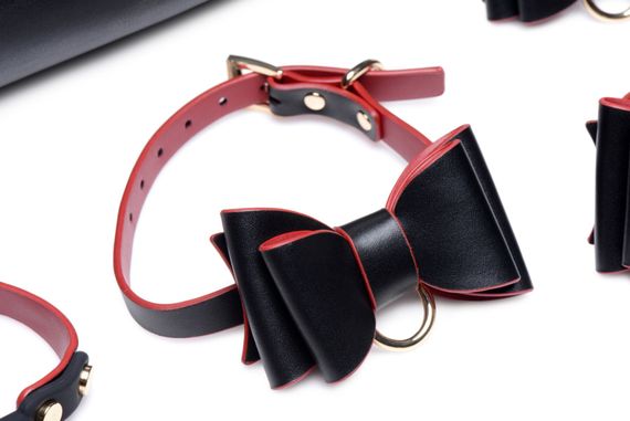 Набір БДСМ з дорожньою сумкою Master Series: Bow — Luxury BDSM Set With Travel Bag, 11 предметів | Зображення 6