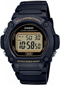 Годинник CASIO W-219H-1A2VEF