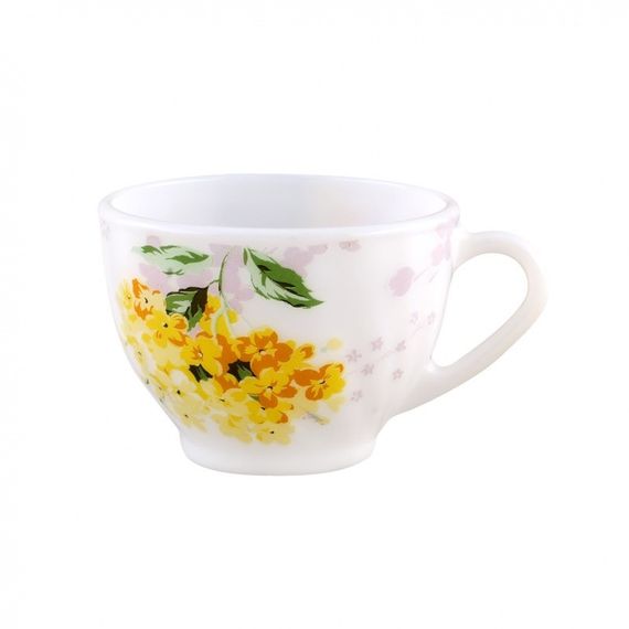 Чашка 100ml загартоване скло NP54CUP2/100