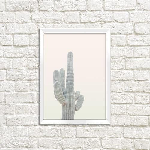 Постер в рамке Кактуси 30x42 см, A3 (WMT3_ART048_WH)