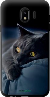 Чохол на Samsung Galaxy J4 2018 Димчастий кіт "825b-1487-2448"
