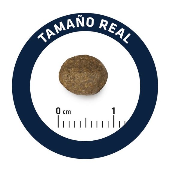 Сухий корм для собак малих порід із лососем Advance Mini Sensitive, 3 кг | Зображення 4