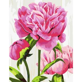 Картина по номерам Rosa Start Яскраві півонії 35 х 45 см (4823098526094) - Топ Продаж!