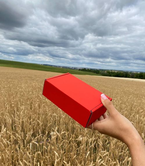 Подарочный набор бокс патриотичных мужских носков в коробке размер 40-45 3 пары разные цвета ч3укр15 | Зображення 2