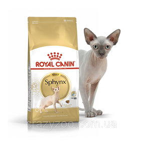 Сухий корм для котів Royal Canin Sphynx 2 кг 2556020