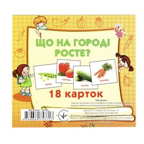 Развивающие карточки для детей Что растет на огороде J018y, 18 картинок