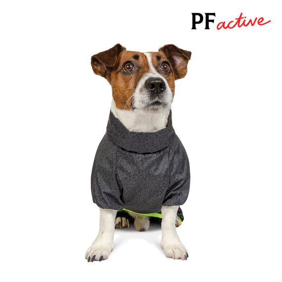 Комбінезон Pet Fashion RAIN для собак породи такса сірий XS | Зображення 2