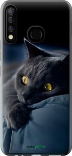 Чохол на Tecno Camon 12 CC7 Димчастий кіт "825u-2432-2448"