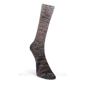 Шкарпеткова пряжа Laines du Nord Paint Gradient Sock, 12