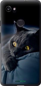 Чохол на Google PixeL 2 XL Димчастий кіт "825t-1643-2448"