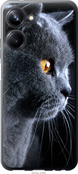 Чехол на Realme 10 Pro Красивый кот "3038u-2945-17620"