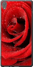 Чехол на Sony Xperia XA F3112 Красная роза "529u-399-17620"