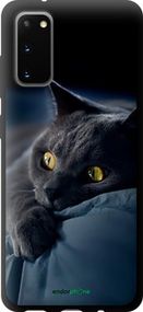 Чохол на Samsung Galaxy S20 Димчастий кіт "825b-1824-2448"