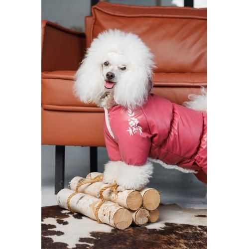 Комбінезон Pet Fashion Cherry S2 дівчинка для собак | Зображення 5