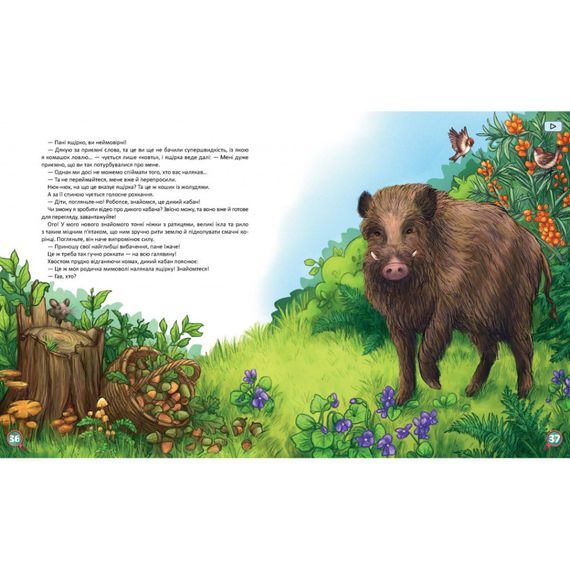 Детская книжка Хвосты. Самый первый детектив 253646, 40 страниц | Зображення 3