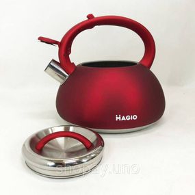 Красивый чайник для газовой плиты Magio, Чайник с свистком для кипячения газовый 3 литра VA-99