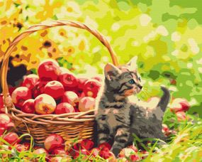 Яблучний котик