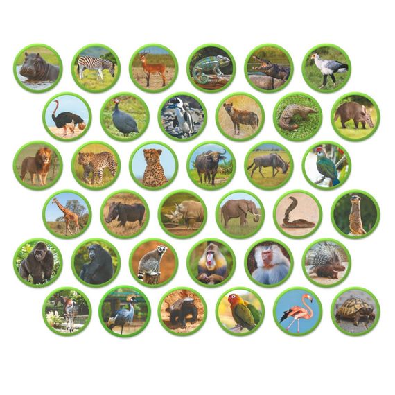 Дитячий магнітний набір Монтесорі "Тварини на континентах: Африка" 200284, 36 елементів | Зображення 2