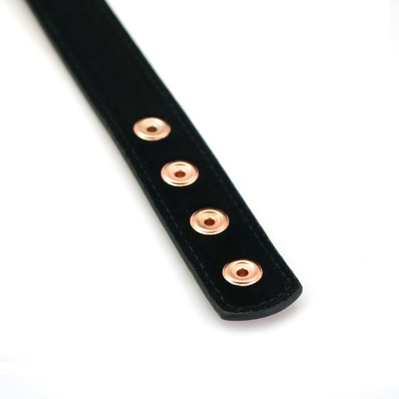 Нашийник із затискачами для сосків Liebe Seele Rose Gold Memory Collar with Nipple Clamps, шкіра | Зображення 6