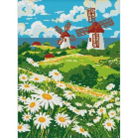 Алмазная мозаика "Поле ромашек" ©art_selena_ua AMO8148, 30х40 см