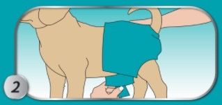 Багаторазовий підгузник для собак Simple Solution Washable Diaper, розмір S | Зображення 6