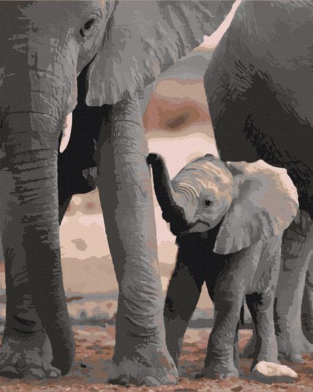 Картина по номерам. Art Craft "Будущий гигант" 40*50 см 11614-AC