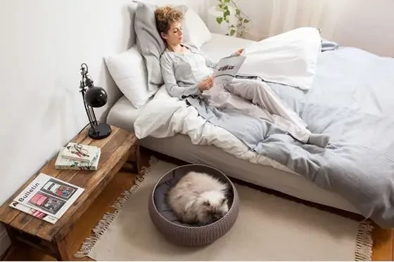 Лежак для животных Curver Cozy Pet Bed 17202851, пластиковый, с подушкой, коричневый | Зображення 3