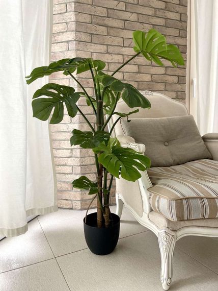 Монстера штучна 115 см у горщику | Зображення 2