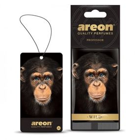 Освіжувач повітря AREON сухий листок Wild Professor