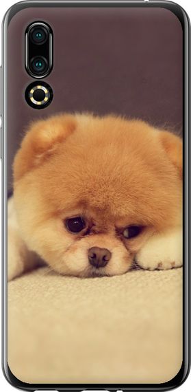 Чехол на Meizu 16S Boo 2 "890u-1701-17620"