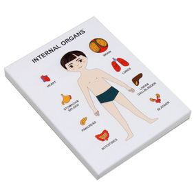 Пазли навчальні Internal Organs 30349