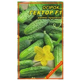 Насіння огірка Гектор F1 10 шт.