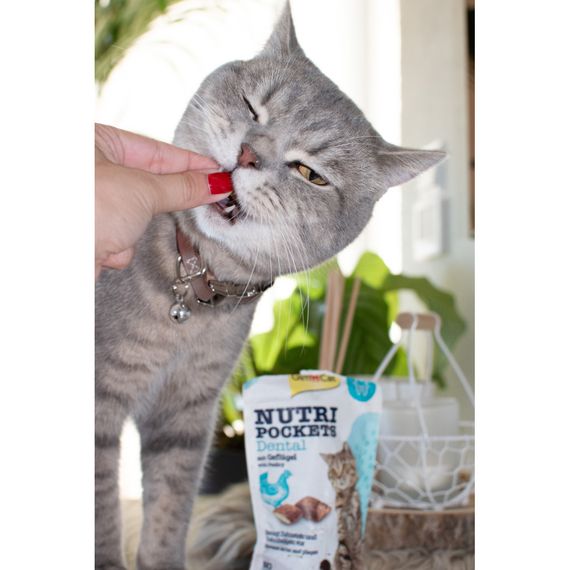 Вітамінні ласощі GimCat Nutri Pockets Dental для котів для зубів 60 г | Зображення 2