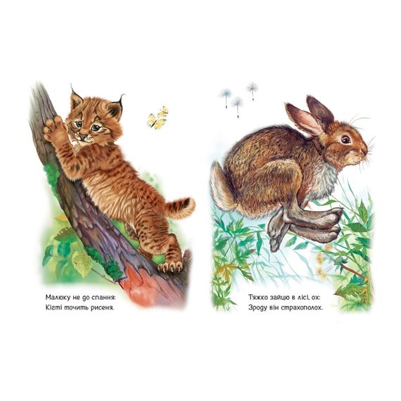 Малюкам про звірят "Лісові звірята" 212015 збірка з аудіосупроводом | Зображення 1