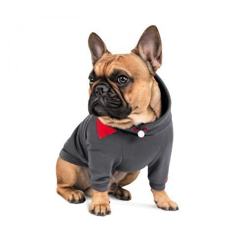Худі Pet Fashion «Snoodie» для собак, розмір M, сірий | Зображення 2