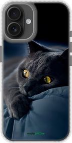Чохол на iPhone 16 Plus Димчастий кіт "825pc-3714-2448"