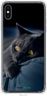 Чохол на iPhone XS Max Димчастий кіт "825sp-1557-2448"