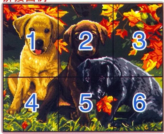 Набір для вишивання за нанесеною на канву схемою "Three dogs 5".AIDA 14CT printed , 48*40 см | Зображення 2